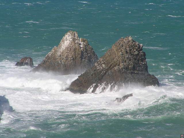 The Catlins Coast 027.jpg
